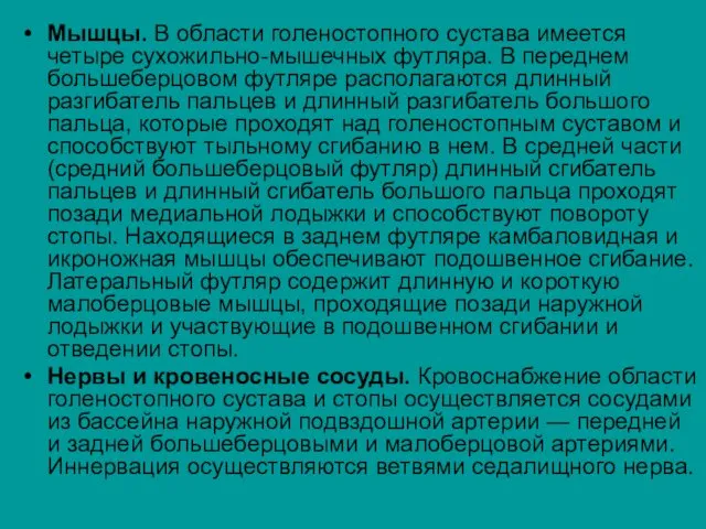 Мышцы. В области голеностопного сустава имеется четыре сухожильно-мышечных футляра. В переднем