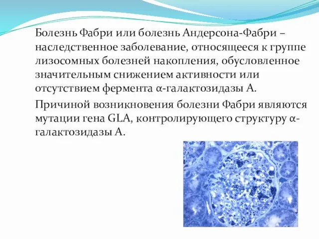 Болезнь Фабри или болезнь Андерсона-Фабри – наследственное заболевание, относящееся к группе