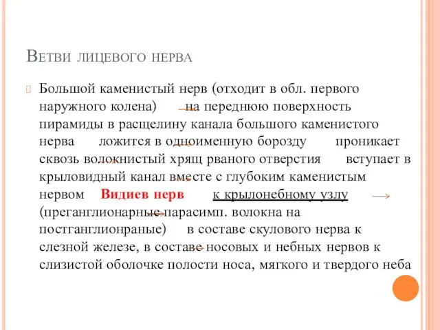 Ветви лицевого нерва Большой каменистый нерв (отходит в обл. первого наружного