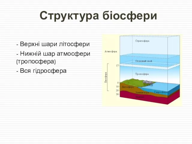 Структура біосфери - Верхні шари літосфери - Нижній шар атмосфери (тропосфера) - Вся гідросфера