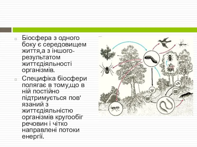 Біосфера з одного боку є середовищем життя,а з іншого-результатом життєдіяльності організмів.