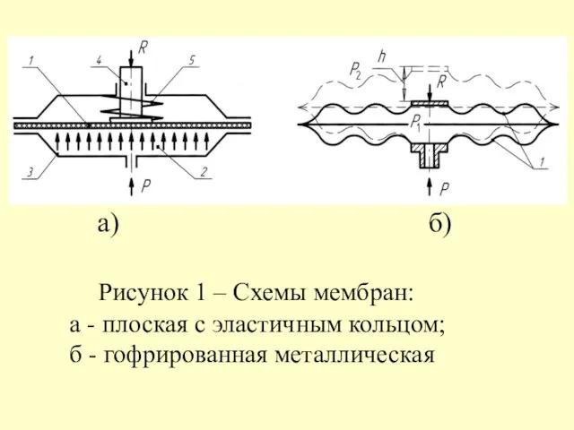 а) б) Рисунок 1 – Схемы мембран: а - плоская с