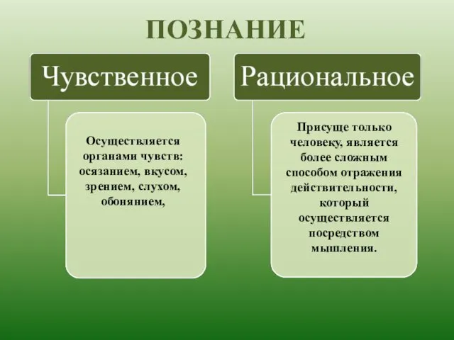 ПОЗНАНИЕ Осуществляется органами чувств: осязанием, вкусом, зрением, слухом, обонянием, Присуще только