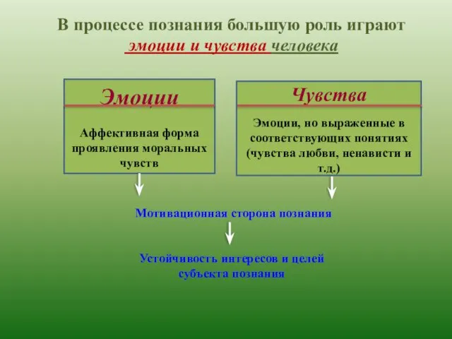 В процессе познания большую роль играют эмоции и чувства человека Эмоции