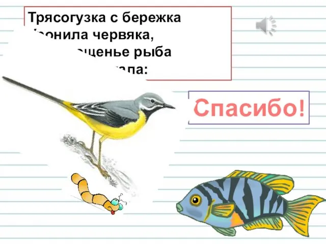 Трясогузка с бережка Уронила червяка, И за угощенье рыба Ей пробулькала: Спасибо!