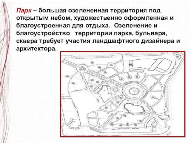 Парк – большая озелененная территория под открытым небом, художественно оформленная и