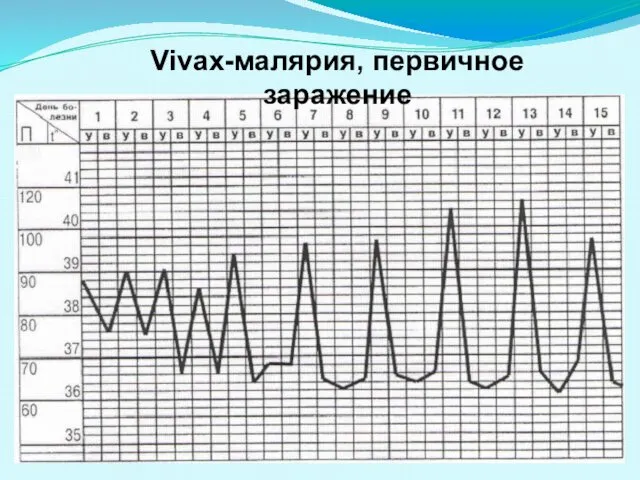 Vivax-малярия, первичное заражение