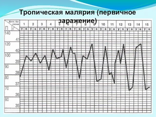 Тропическая малярия (первичное заражение)