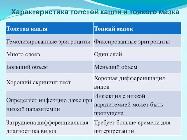 Характеристика толстой капли и тонкого мазка