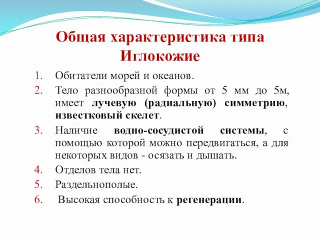 Общая характеристика типа Иглокожие Обитатели морей и океанов. Тело разнообразной формы