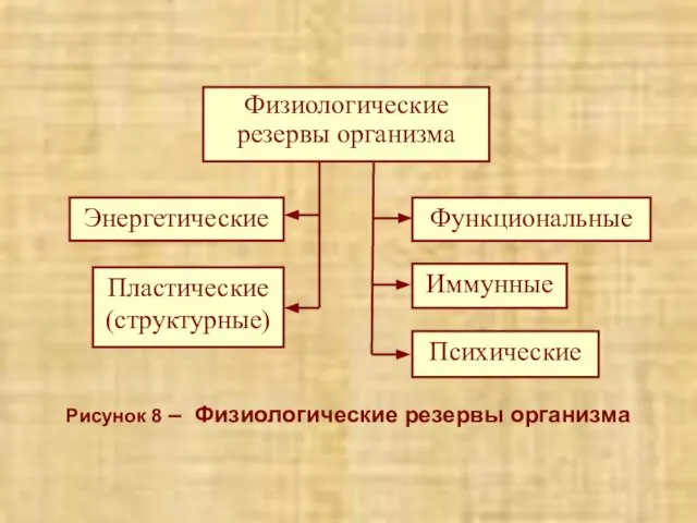 Рисунок 8 – Физиологические резервы организма