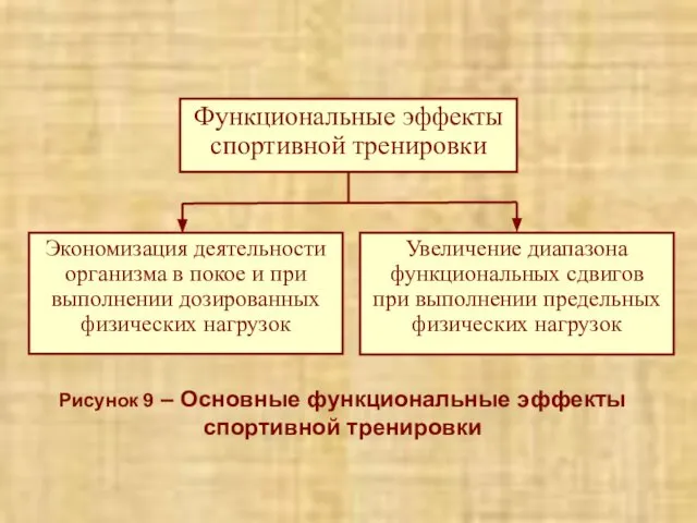 Рисунок 9 – Основные функциональные эффекты спортивной тренировки