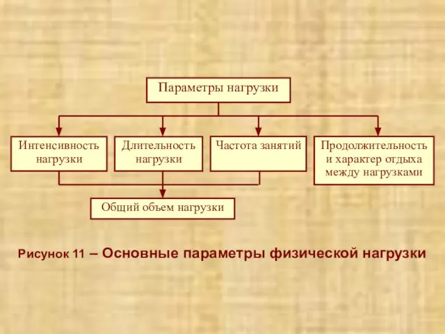 Рисунок 11 – Основные параметры физической нагрузки