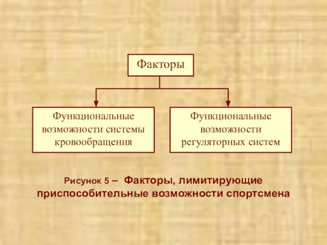 Рисунок 5 – Факторы, лимитирующие приспособительные возможности спортсмена