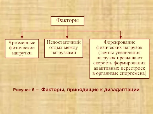 Рисунок 6 – Факторы, приводящие к дизадаптации