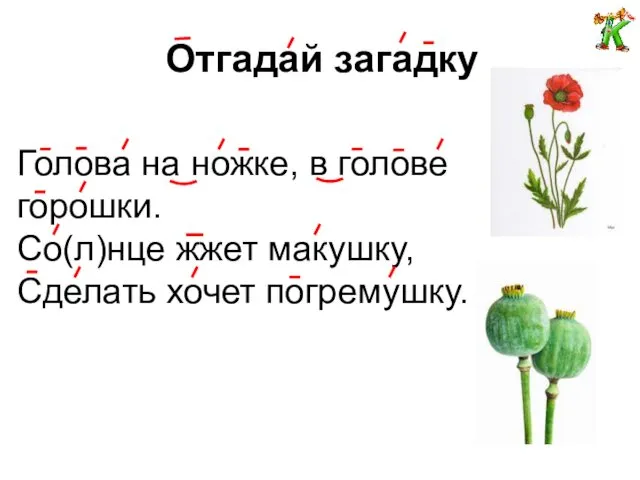 Отгадай загадку Голова на ножке, в голове горошки. Со(л)нце жжет макушку, Сделать хочет погремушку.