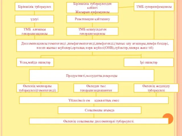 Біріншілік туберкулез Біріншілік туберкулезден кейінгі Жасырын инфекциясы ТМБ суперинфекциясы үдеуі ТМБ