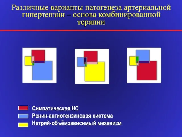 Симпатическая НС Ренин-ангиотензиновая система Натрий-объёмзависимый механизм Различные варианты патогенеза артериальной гипертензии – основа комбинированной терапии