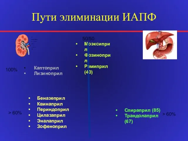 Пути элиминации ИАПФ Каптоприл Лизиноприл Беназеприл Квинаприл Периндоприл Цилазаприл Эналаприл Зофеноприл