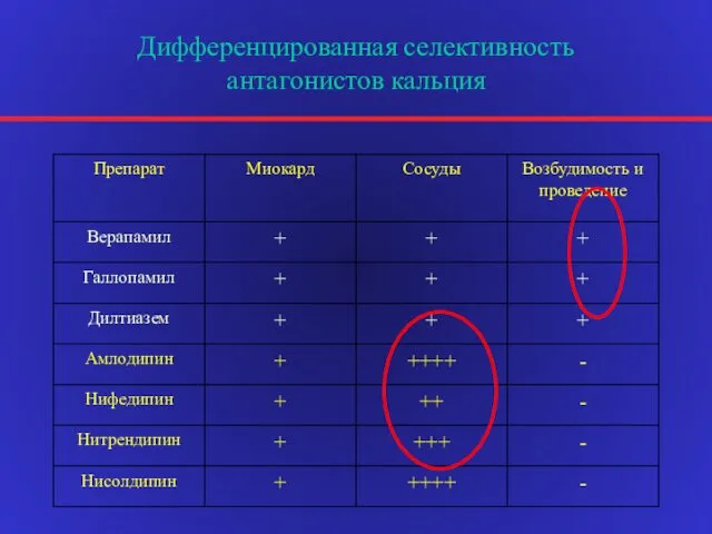 Дифференцированная селективность антагонистов кальция