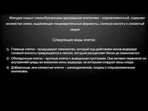 Следующие виды клеток: Главные клетки – продуцируют пепсиноген, который под действием