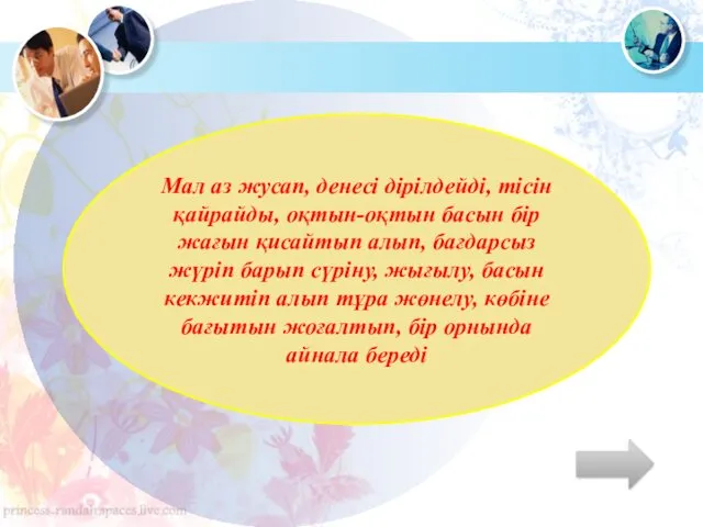 Мал аз жусап, денесі дірілдейді, тісін қайрайды, оқтын-оқтын басын бір жағын