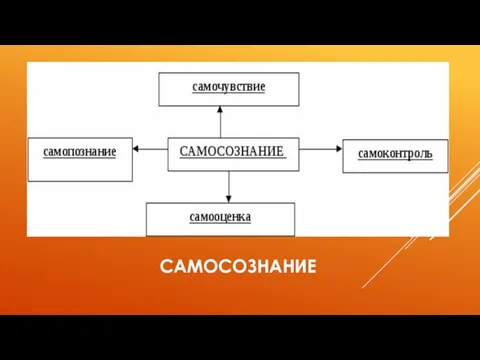 САМОСОЗНАНИЕ