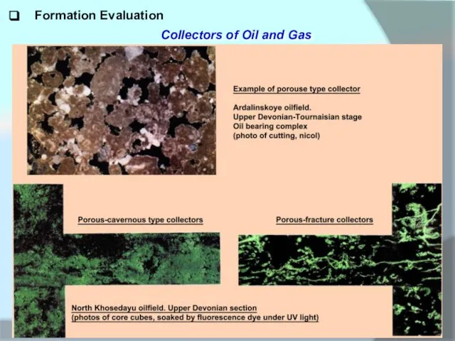 Formation Evaluation Collectors of Oil and Gas