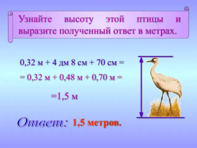 Узнайте высоту этой птицы и выразите полученный ответ в метрах. 0,32