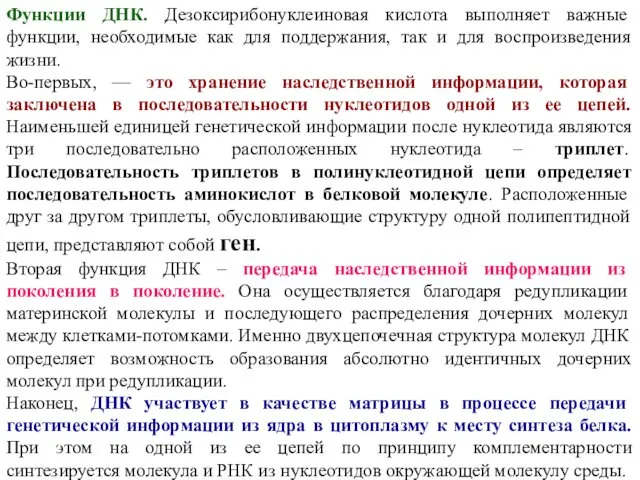 Функции ДНК. Дезоксирибонуклеиновая кислота выполняет важные функции, необходимые как для поддержания,