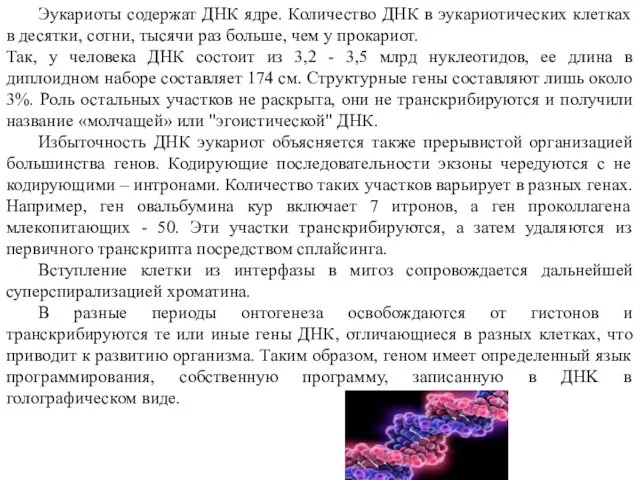 Эукариоты содержат ДНК ядре. Количество ДНК в эукариотических клетках в десятки,