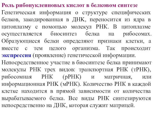 Роль рибонуклеиновых кислот в белковом синтезе Генетическая информация о структуре специфических