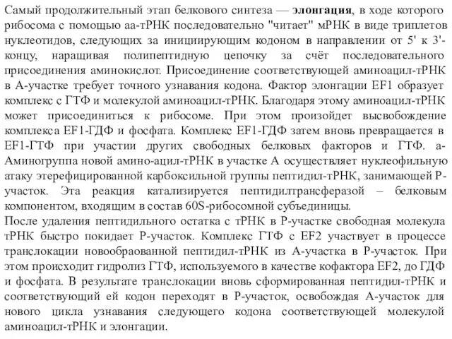 Самый продолжительный этап белкового синтеза — элонгация, в ходе которого рибосома