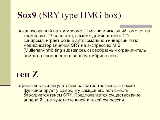 Sox9 (SRY type HMG box) локализованный на хромосоме 11 мыши и