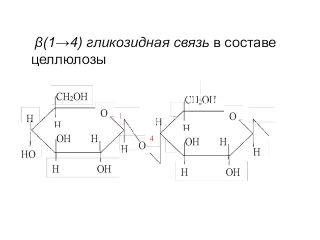 β(1→4) гликозидная связь в составе целлюлозы