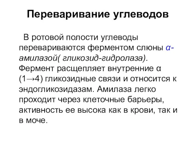 Переваривание углеводов В ротовой полости углеводы перевариваются ферментом слюны α-амилазой( гликозид-гидролаза).