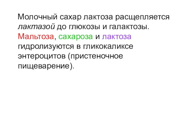 Молочный сахар лактоза расщепляется лактазой до глюкозы и галактозы. Мальтоза, сахароза