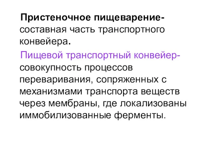 Пристеночное пищеварение- составная часть транспортного конвейера. Пищевой транспортный конвейер- совокупность процессов