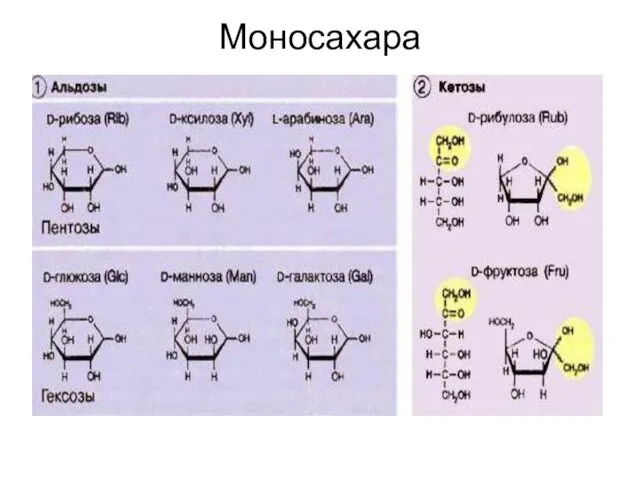 Моносахара