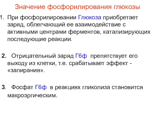 Значение фосфорилирования глюкозы При фосфорилировании Глюкоза приобретает заряд, облегчающий ее взаимодействие