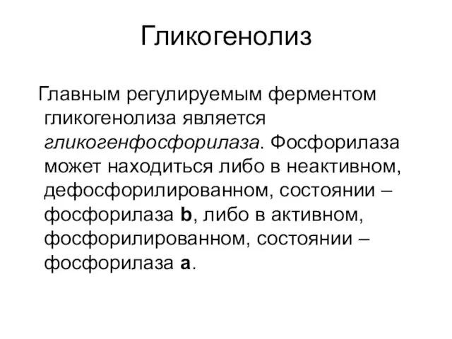 Гликогенолиз Главным регулируемым ферментом гликогенолиза является гликогенфосфорилаза. Фосфорилаза может находиться либо