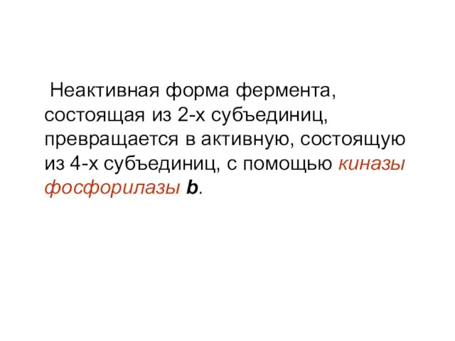 Неактивная форма фермента, состоящая из 2-х субъединиц, превращается в активную, состоящую