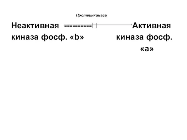 Протеинкиназа Неактивная ----------? Активная киназа фосф. «b» киназа фосф. «а»