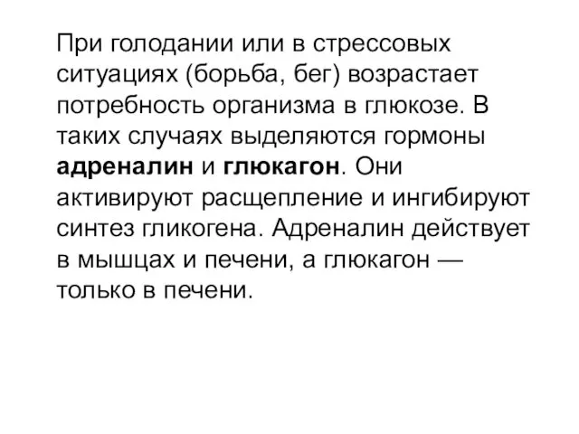 При голодании или в стрессовых ситуациях (борьба, бег) возрастает потребность организма