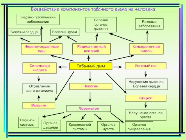 Воздействие компонентов табачного дыма на человека Табачный дым Угарный газ Нарушения