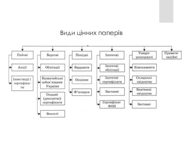 Види цінних паперів