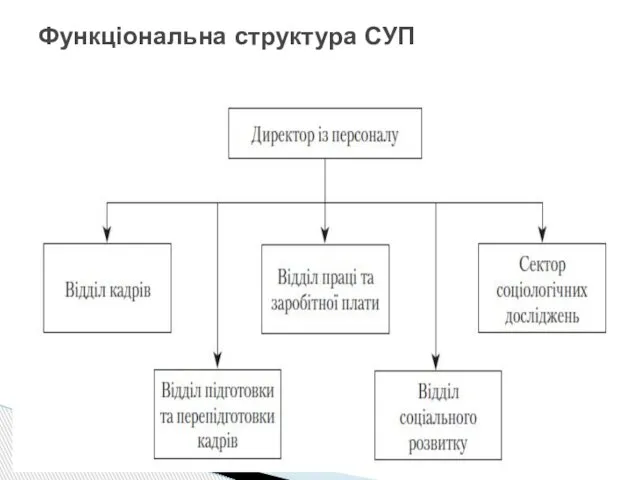 Функціональна структура СУП
