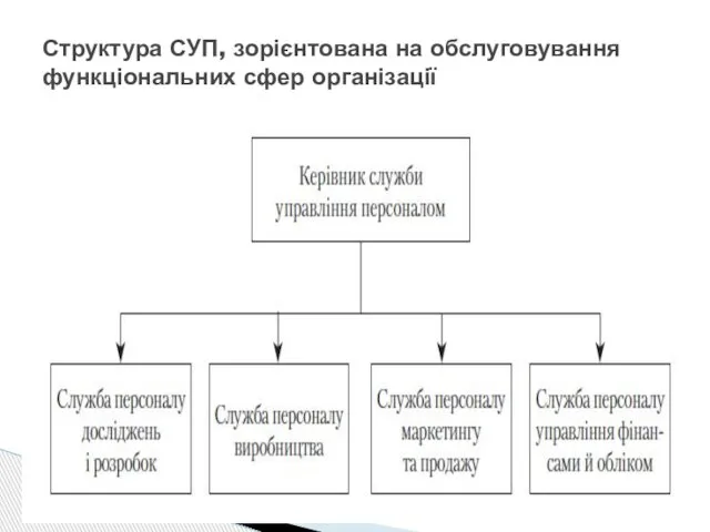 Структура СУП, зорієнтована на обслуговування функціональних сфер організації