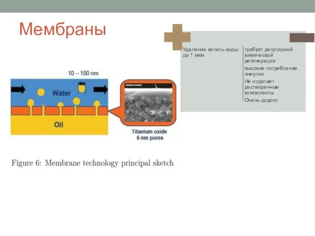 Мембраны