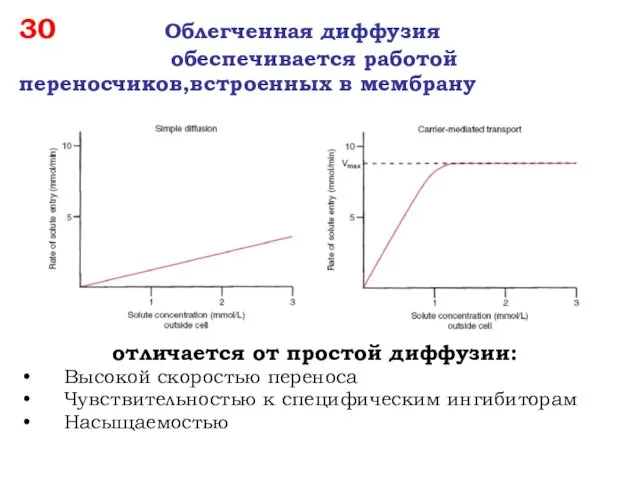 30 Облегченная диффузия обеспечивается работой переносчиков,встроенных в мембрану отличается от простой